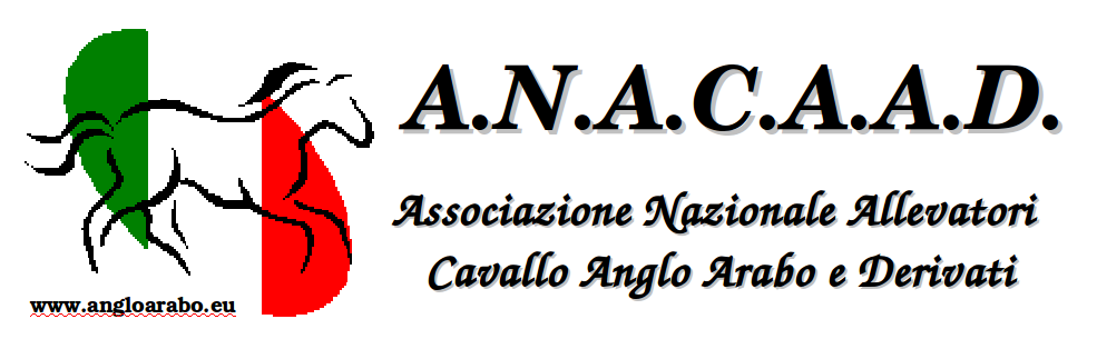 Acquisto E Vendita Associazione Nazionale Allevatori Cavallo Anglo Arabo E Derivati A N A C A A D