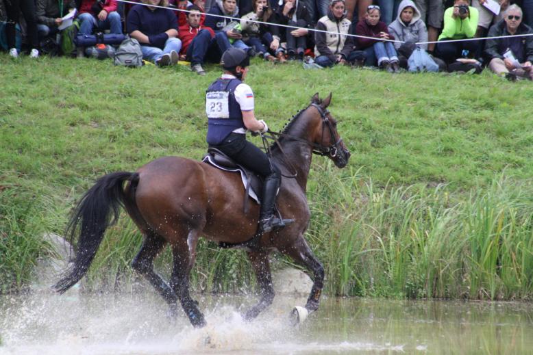 INDIGO PYRENEEN