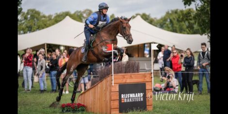 ANGLO ARABI DI PRESTIGIO eventing dal 2018 al 2022