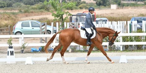 Entra nel vivo il 59° Premio Regionale Sardo