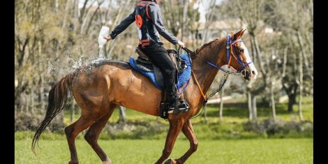 ENDURANCE: ANGLO ARABO DI SPAGNA AI VERTICI