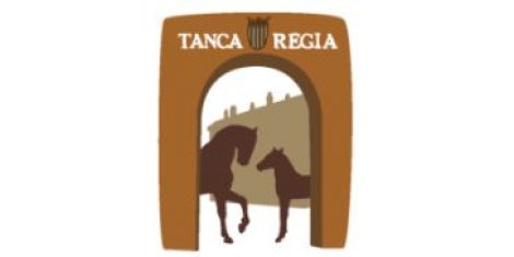 RASSEGNA TANCA REGIA PULEDRI DI DUE E TRE ANNI 2023