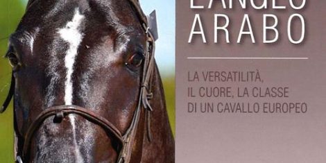 CONVEGNO SUL CAVALLO SPORTIVO AA AD ORGOSOLO