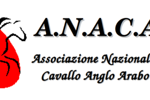RICHIESTA D’ACQUISTO 2/25