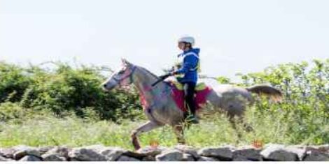 ENDURANCE-CAMPIONATO SARDO-FINALE COPPA SARDEGNA -GARA TROFEO AGRIS