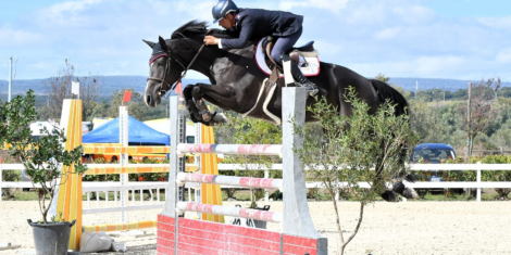 Trofeo ASVI 2025 Riservato al Cavallo nato ed allevato in Sardegna