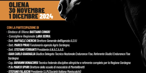 IL MANISCALCO, UNA FIGURA IMPORTANTE!