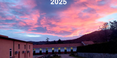 PRESENTAZIONE STALLONI 2025 ASVI SARDEGNA