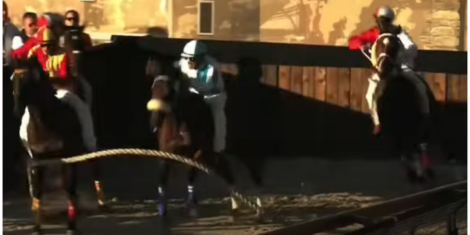 I cavalli anglo-arabi al posto dei purosangue al Palio di Legnano