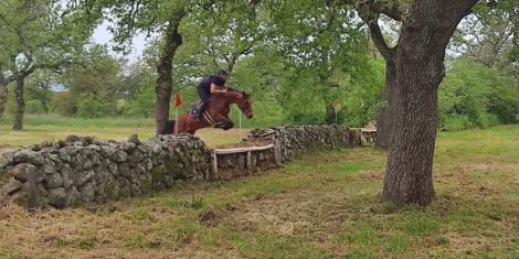 COMPLETO E DRESSAGE A TANCA REGIA