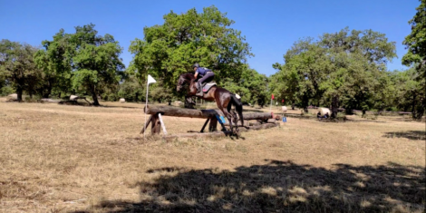 Dressage e Completo: due concorsi nazionali a Tanca Regia (Abbasanta)